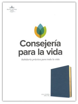 Biblia de estudio Consejería para la vida, RVR 1960 | Simil Piel Azul Pizarra