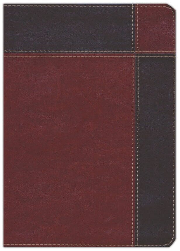 Biblia de Estudio Ryrie Ampliada RVR 1960 — Imitación Marrón Dos Tonos con Índice