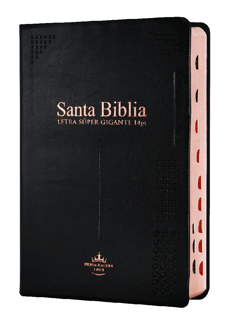 Biblia Tamano Manual Letra Grande Letra 14 Puntos RV1960 | Tapa de Vinil Negro Indice
