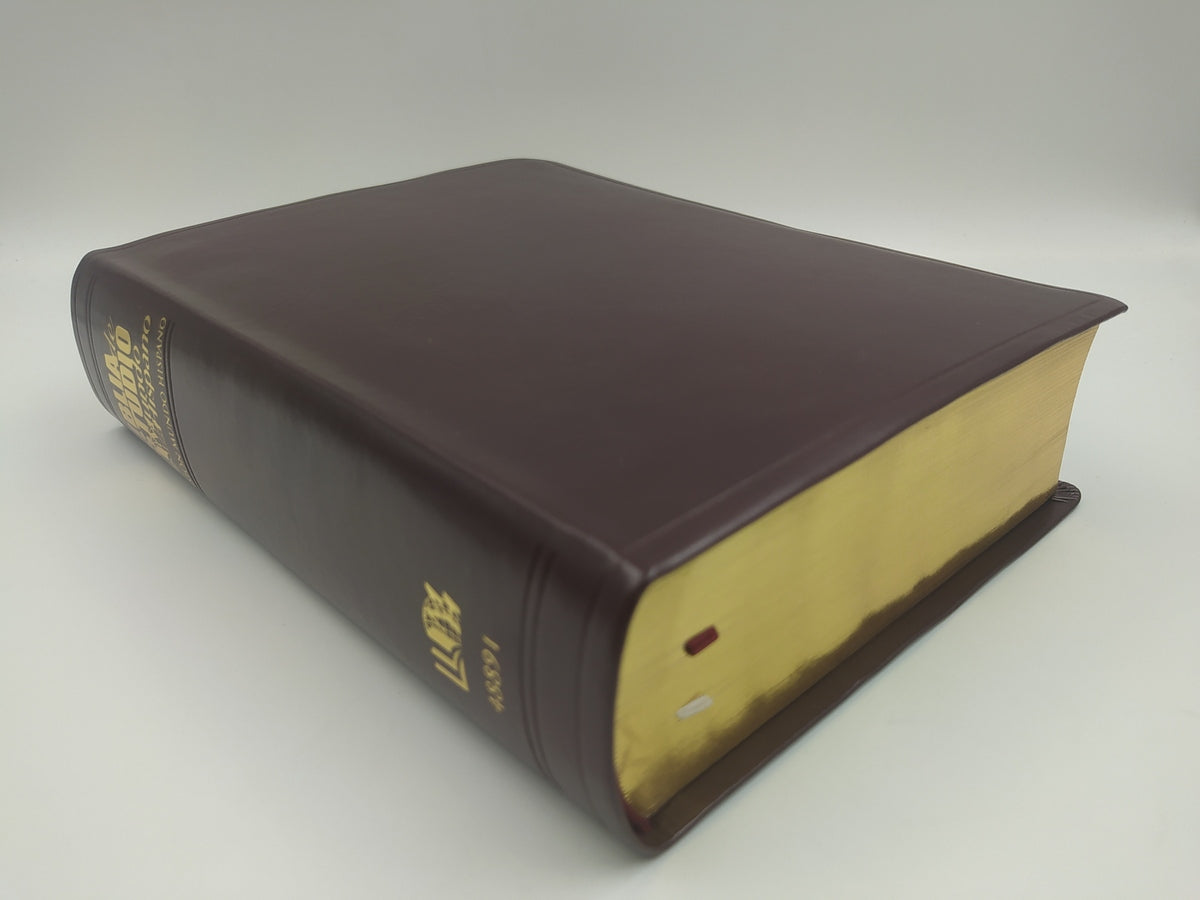 Biblia De Estudio Mundo Hispano   |  Piel Europea