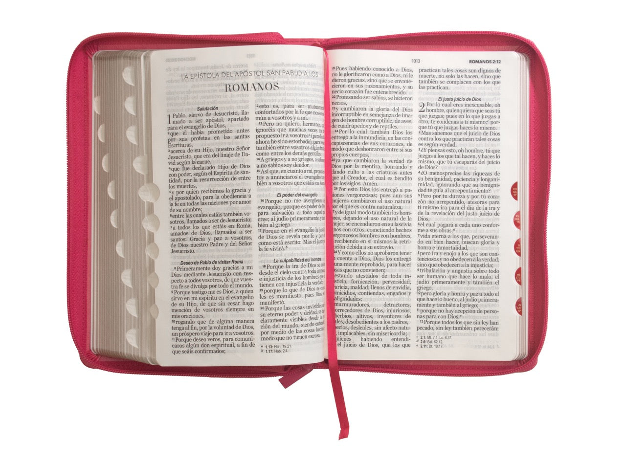 Biblia Tamano Manual Letra Grande 12 Puntos RVR60 | Imitacion Piel Fuscia con indice y cierre