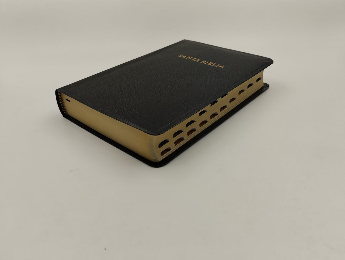 Biblia Letra Grande Tamano Manual RVR60, Imitacion Piel Negro Con Indice
