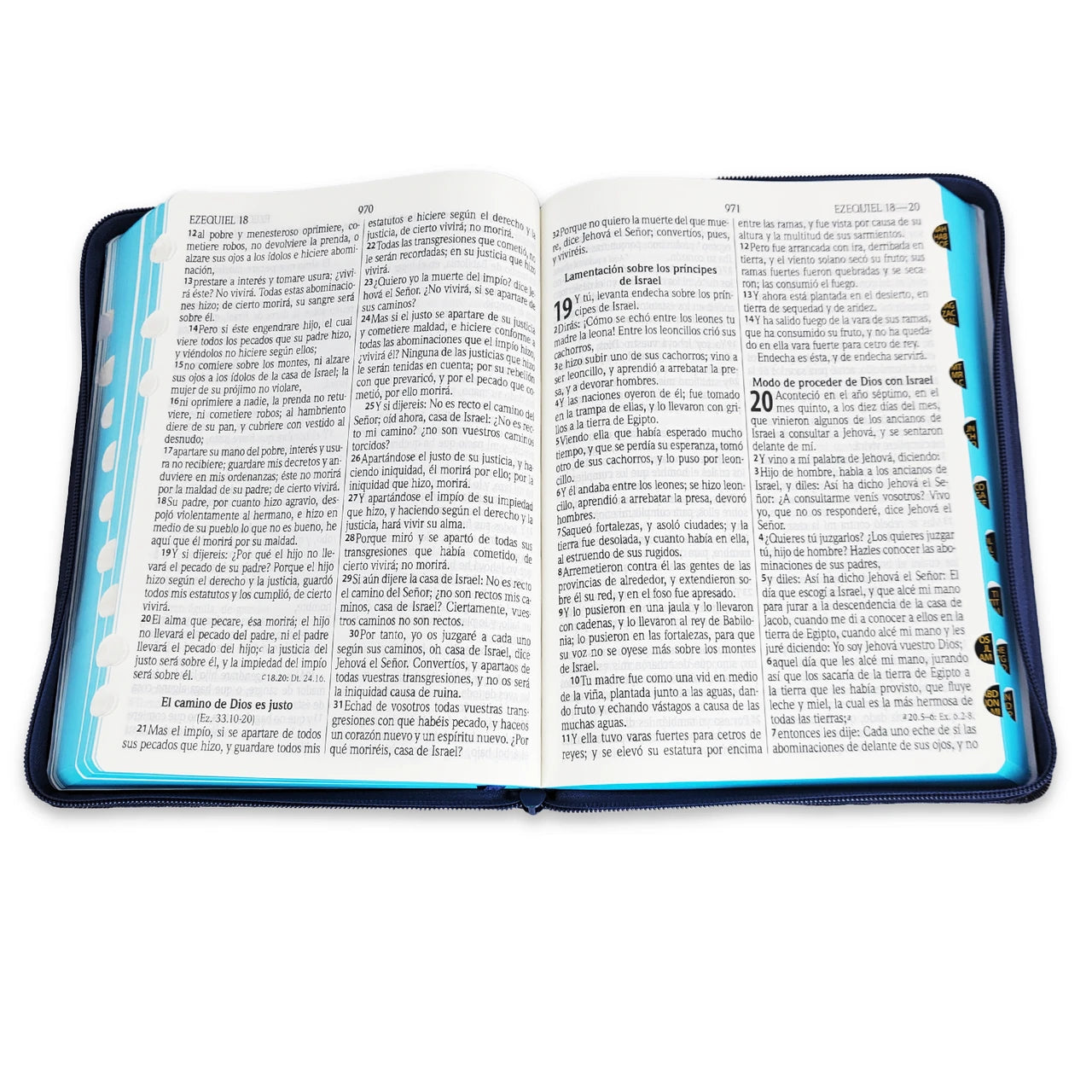 Biblia Letra Gigante 14 Puntos RV1960 | Blue Jean con Indice y Cierre