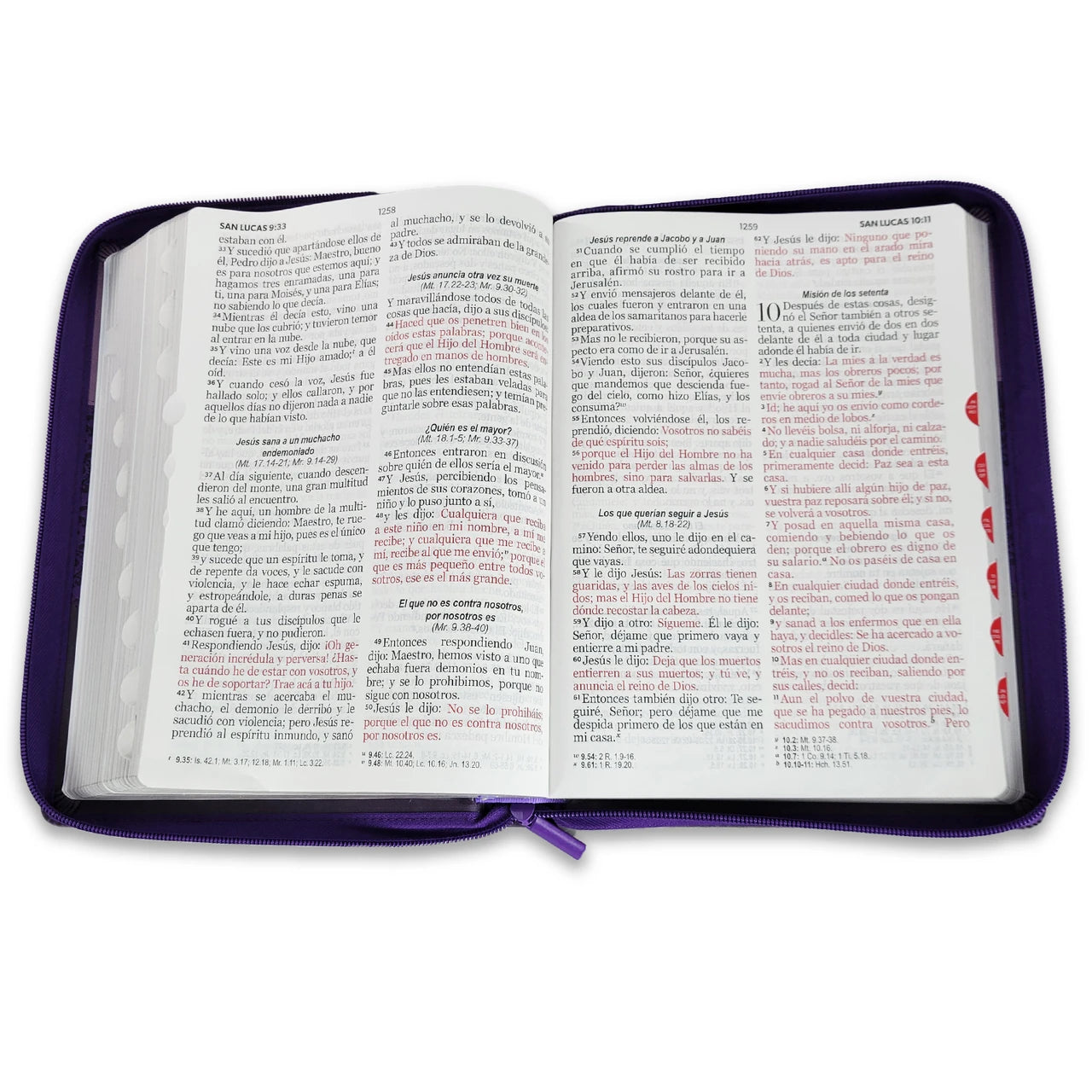 Biblia Letra Gigante 15 puntos RV1960, Imitacion Piel Tricolor Lila con Indice y