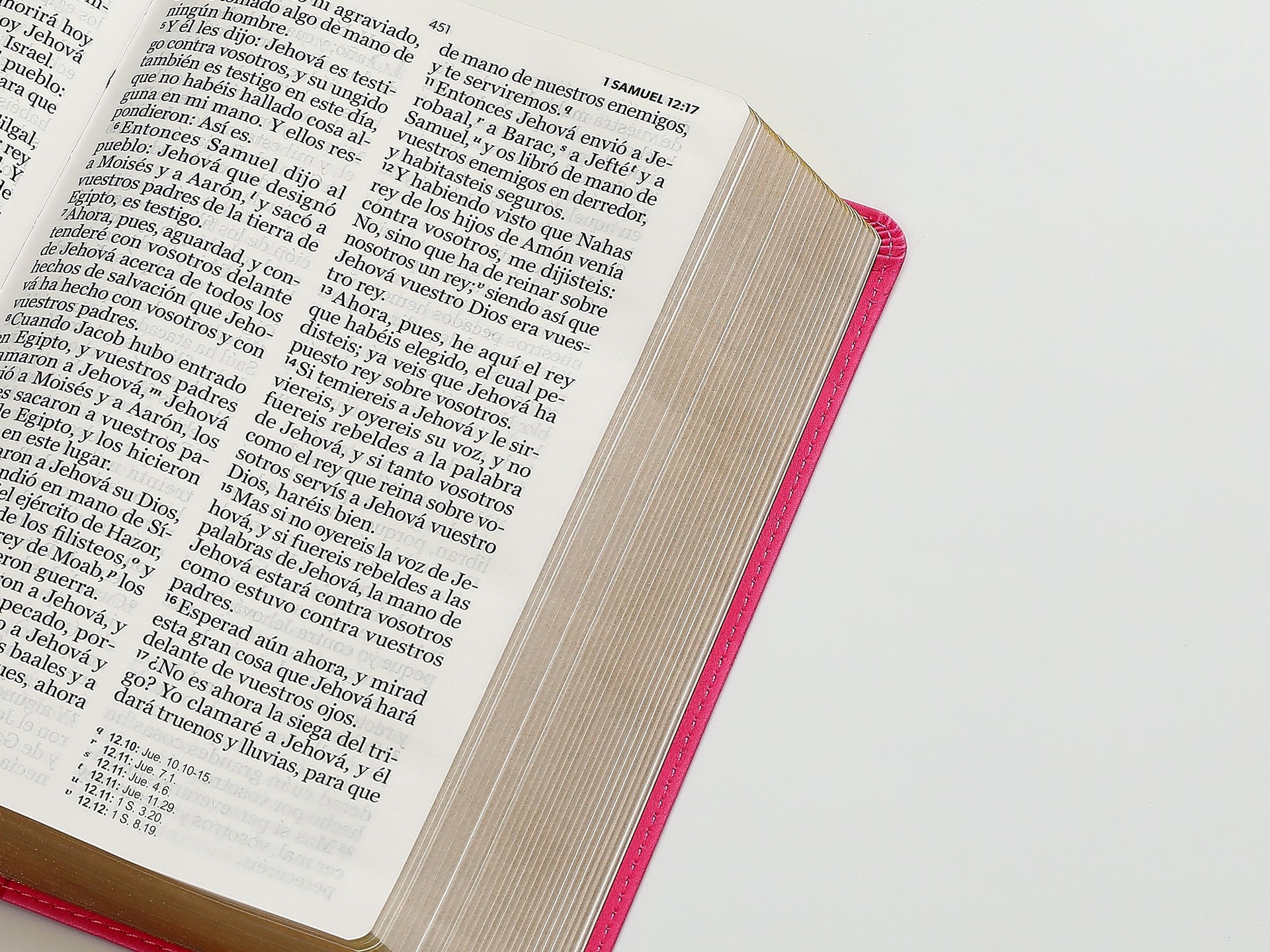 Biblia Letra Gigante 14 puntos RV1960, Imitacion Piel Rosa Geometrico