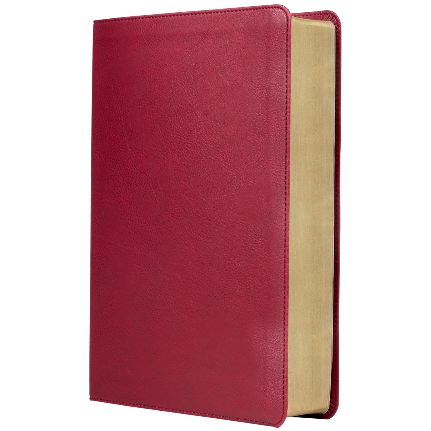 Biblia de estudio trasfondo cultural RVR (El contexto lo cambia todo), Interior a color, Comfort Print
