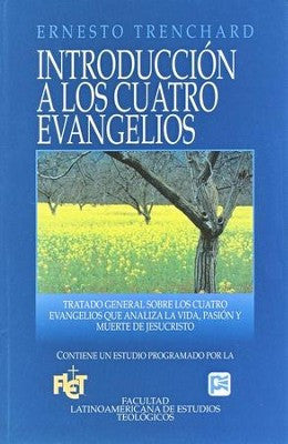Introduccion a los 4 Evangelios