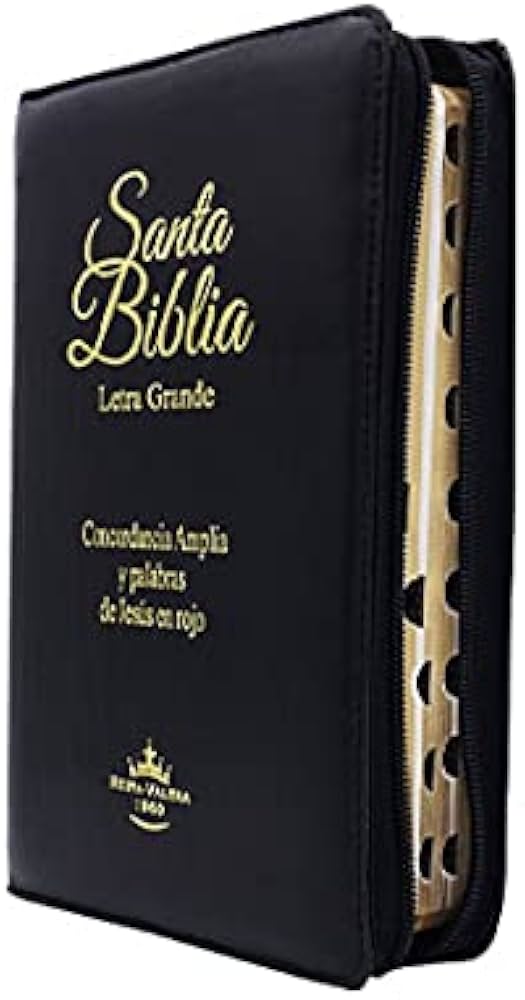 Biblia Letra Grande Tamaño Manual RV1960, Acolchonada Negro con Indice y Cierre