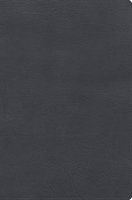 Biblia de estudio letra gigante RV1960, Simil Piel Gris