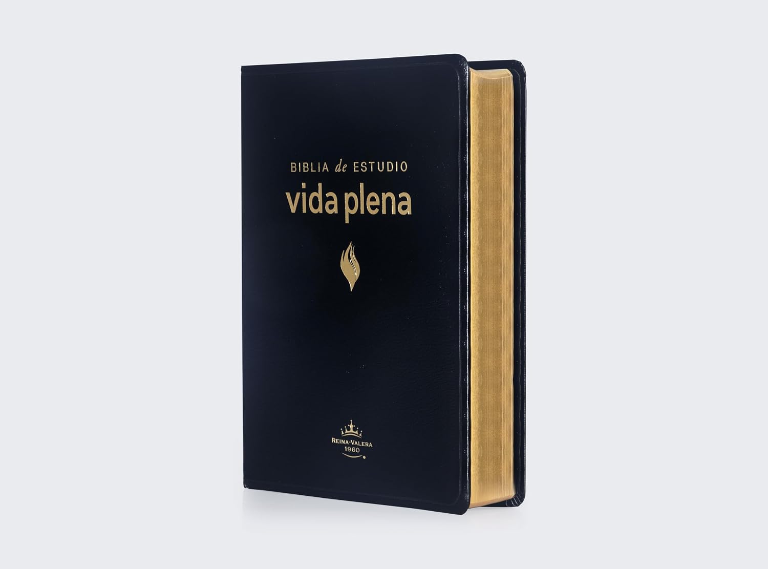 Biblia De Estudio Vida Plena RVR 1960, Piel Elaborada Negro