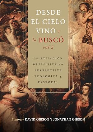 Desde el cielo vino y la busco - Vol. 2