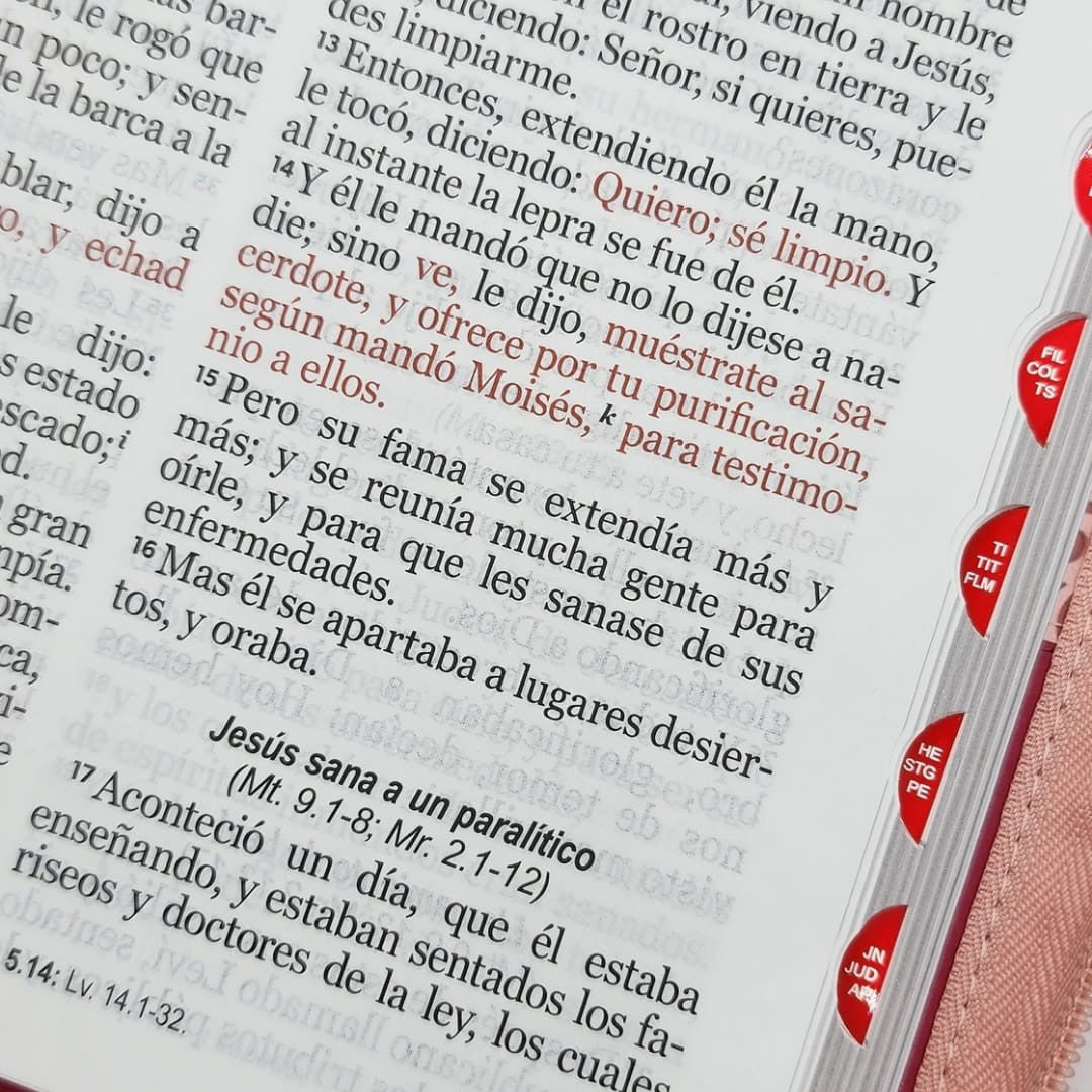 Biblia Letra Gigante 15 puntos RV1960, Imitacion Piel Tricolor Negro/Rosa/Fucsia
