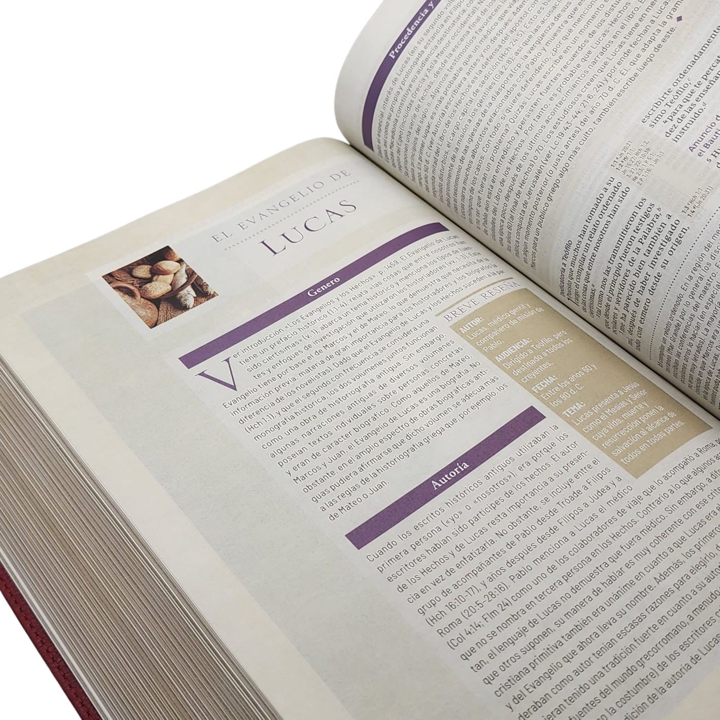 Biblia de estudio trasfondo cultural RVR (El contexto lo cambia todo), Interior a color, Comfort Print