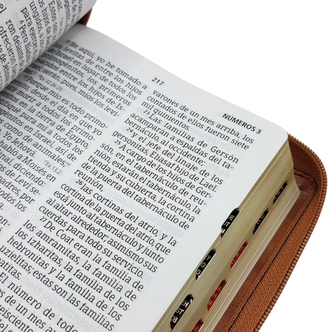 Biblia letra gigante tamano manual 14 Puntos, Simil Piel Caoba-Negro con indice