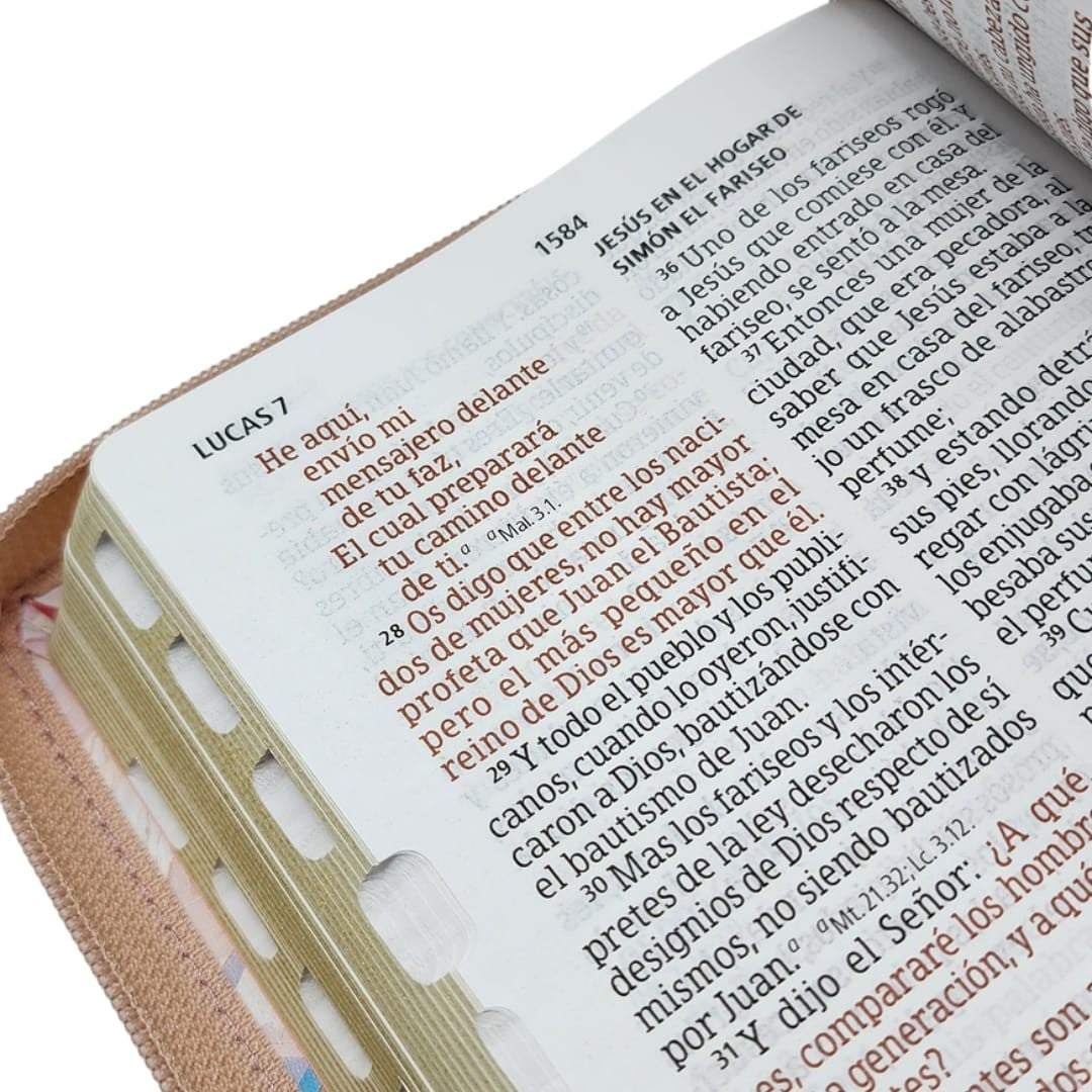 Biblia letra gigante 14 Puntos, Simil Piel Rosa-Cuarzo con indice y cierre