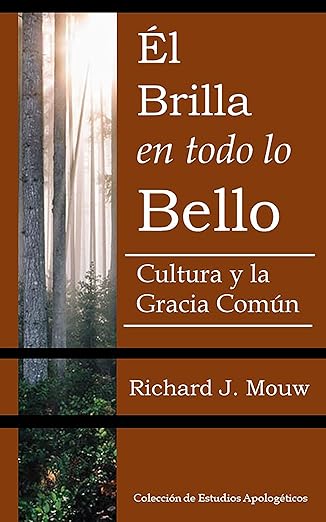 Brilla en todo lo Bello: La cultura y la gracia comun