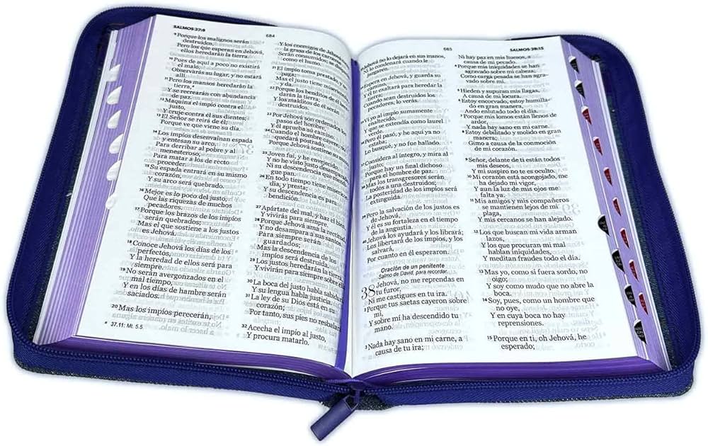 Biblia Tamano Manual Letra Grande 12Pts Con Indice y Cierre | Jean Cinturon Viol