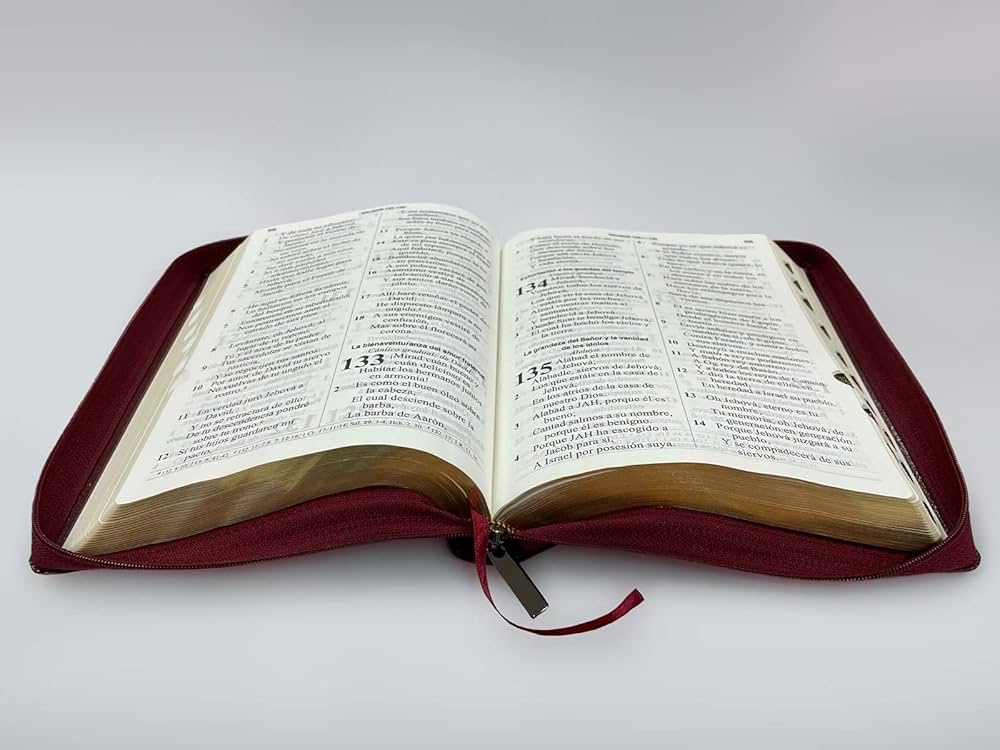 Biblia Letra Gigante 14 Puntos RV 1960, Imitacion Piel con Indice y Ziper