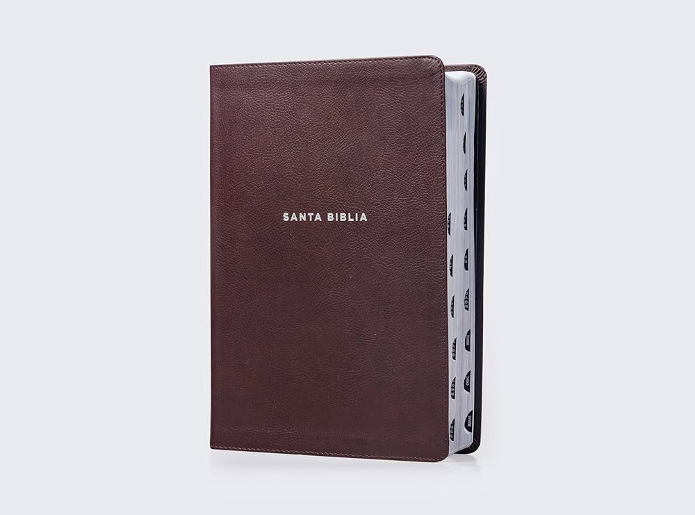 Biblia de Estudio actualizada, NVI Revisión 2022, Letra grande,  Imitacion Piel Cafe