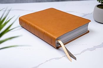 Biblia ilustrada de la Tierra Santa RVR60, simil piel