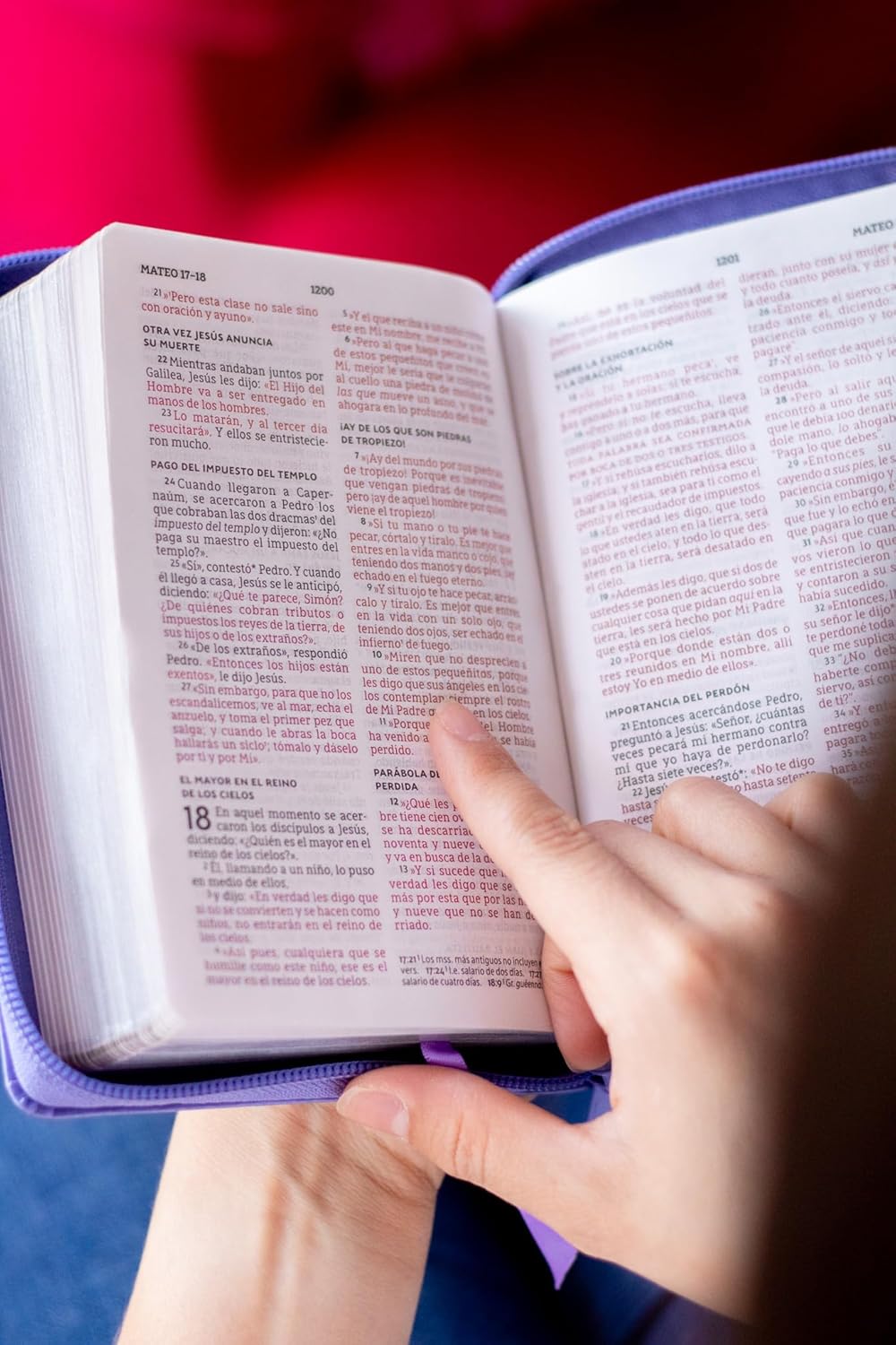 Biblia, Edicion versificada, NBLA, Tamaño bolsillo, Imitacion Piel Morado con cierre