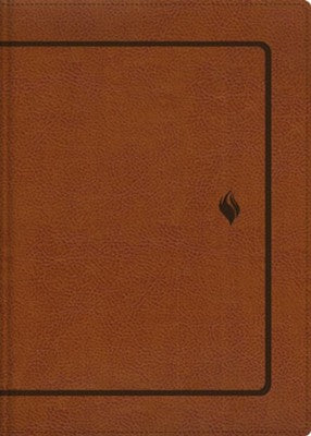 Biblia de Estudio Vida Plena RVR1960 — Edición Clásica, Imitación Piel Café
