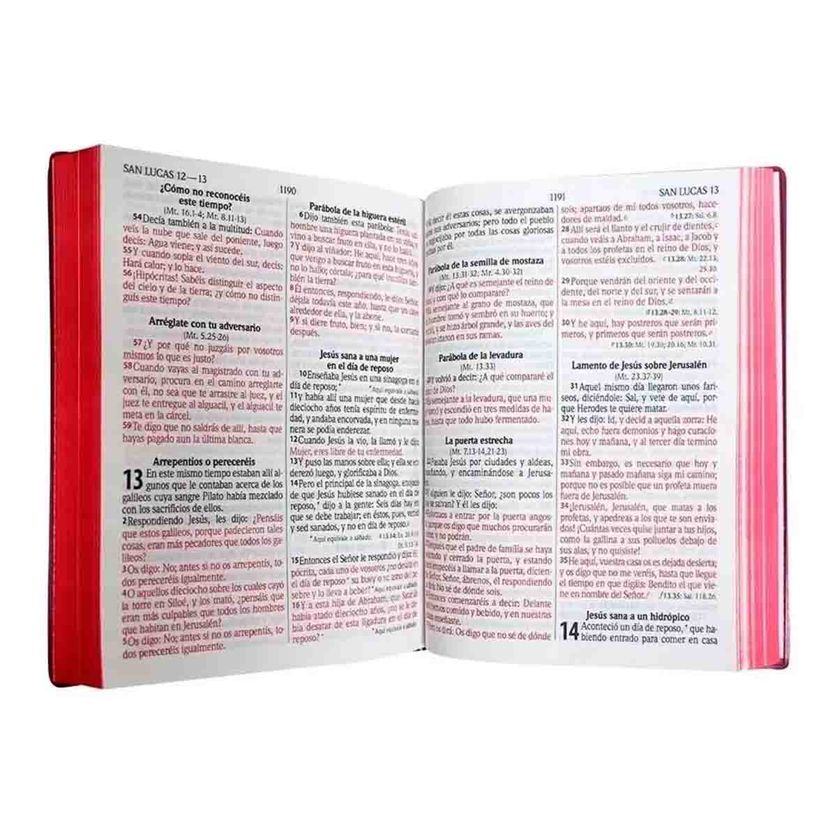 Biblia Letra Gigante, RV1960,  Vinil Vino