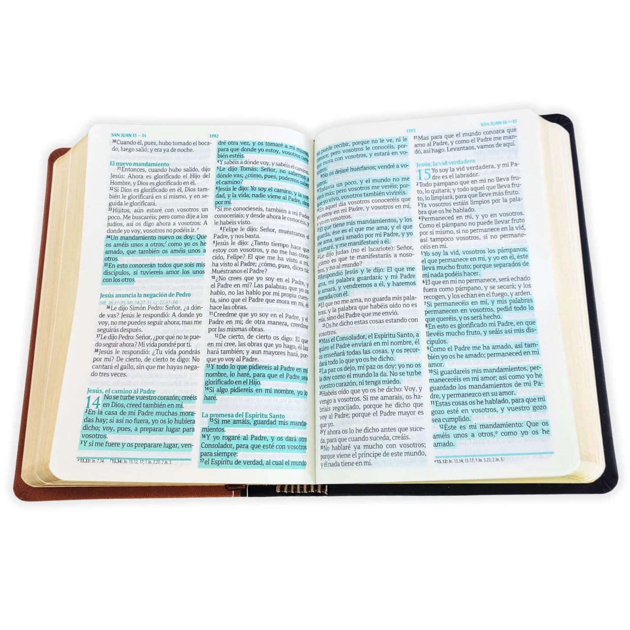 Biblia Compacta Fuente de Bendiciones RVR60  Simil Piel Marrón Con Negro
