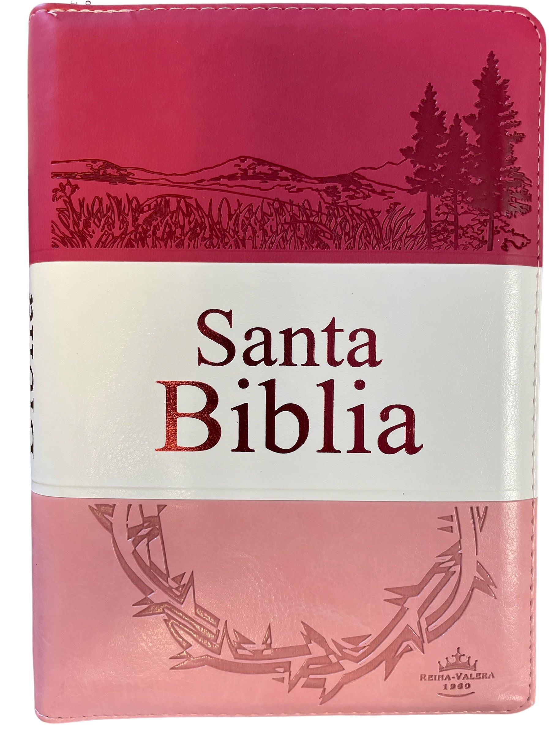 Biblia Letra Grande Tamaño Manual RVR 1960, Con Índice y Cierre