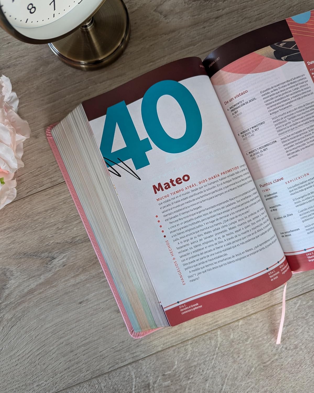 Biblia de estudio del diario vivir para jovenes NTV- | Simil Piel Rosa