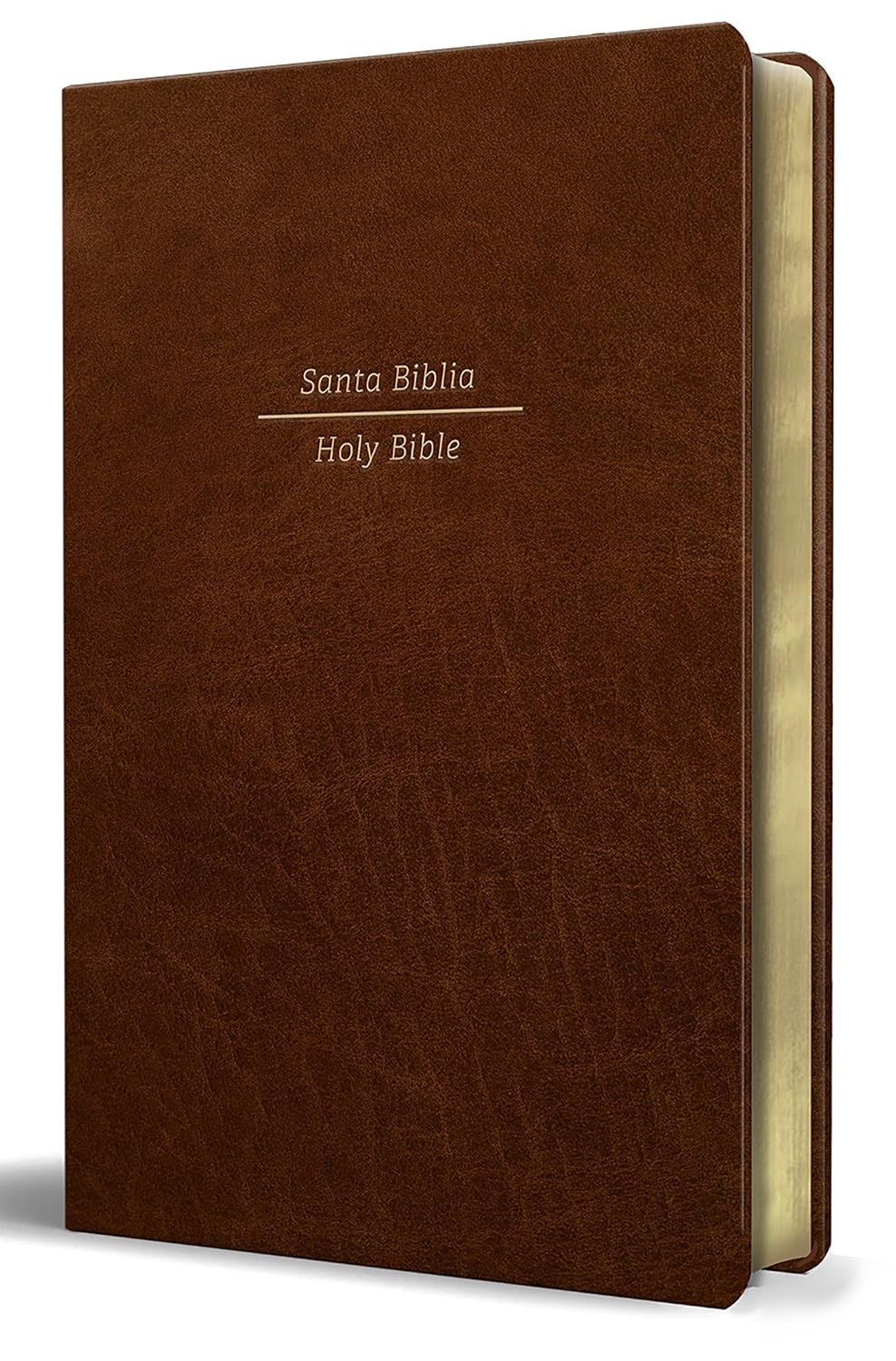 Biblia Bilingüe Reina Valera 1960/ESV Tamaño grande piel marron