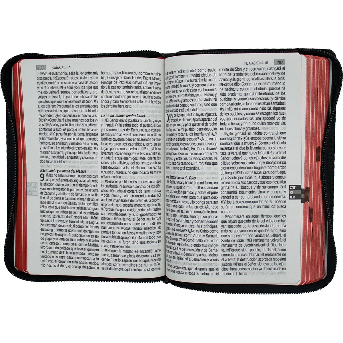 Biblia Letra Grande RV1960  Imitacion Piel Negro con Cierre
