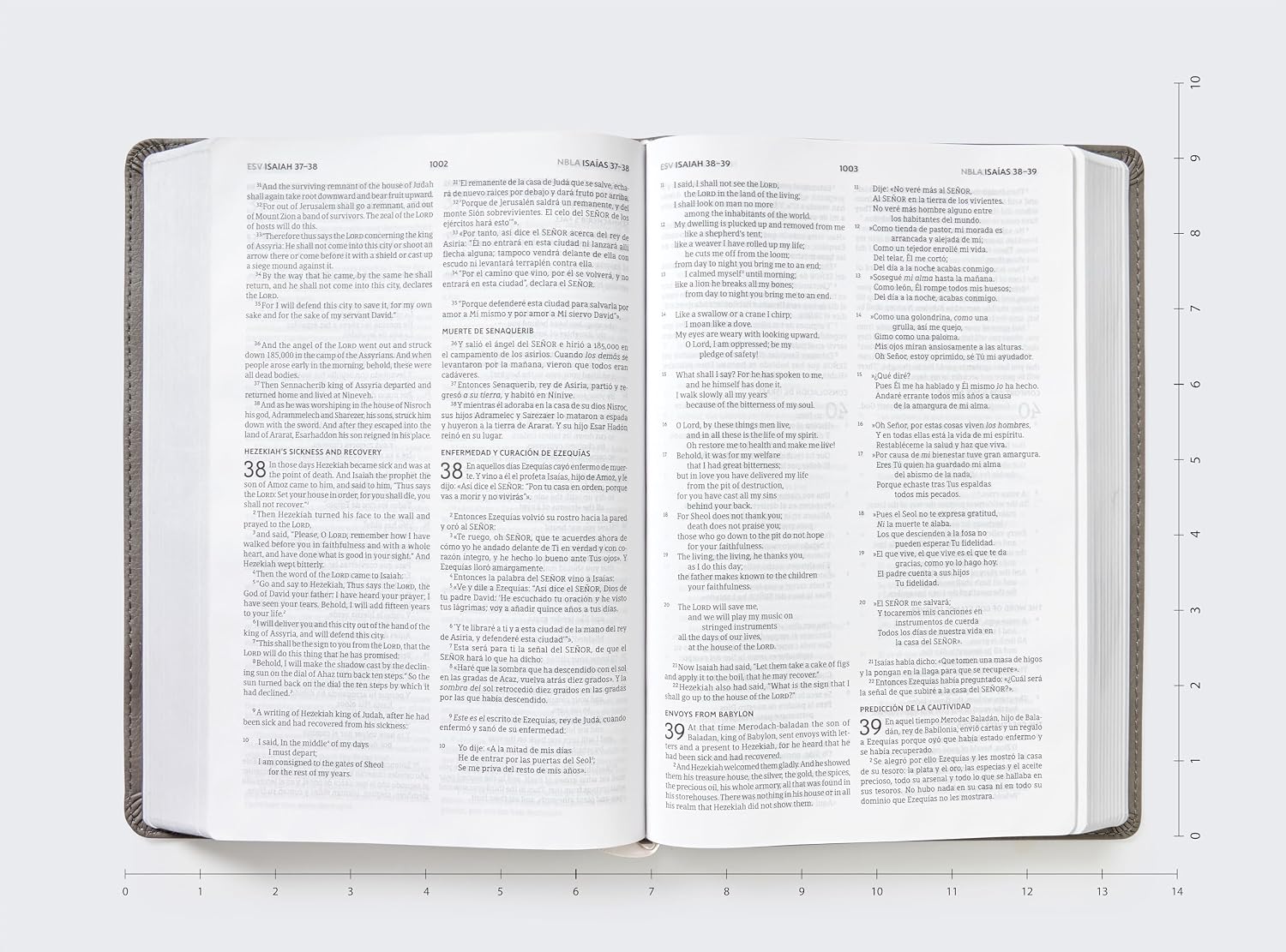 ESV/NBLA, Biblia Bilingüe, soft leather-look gris