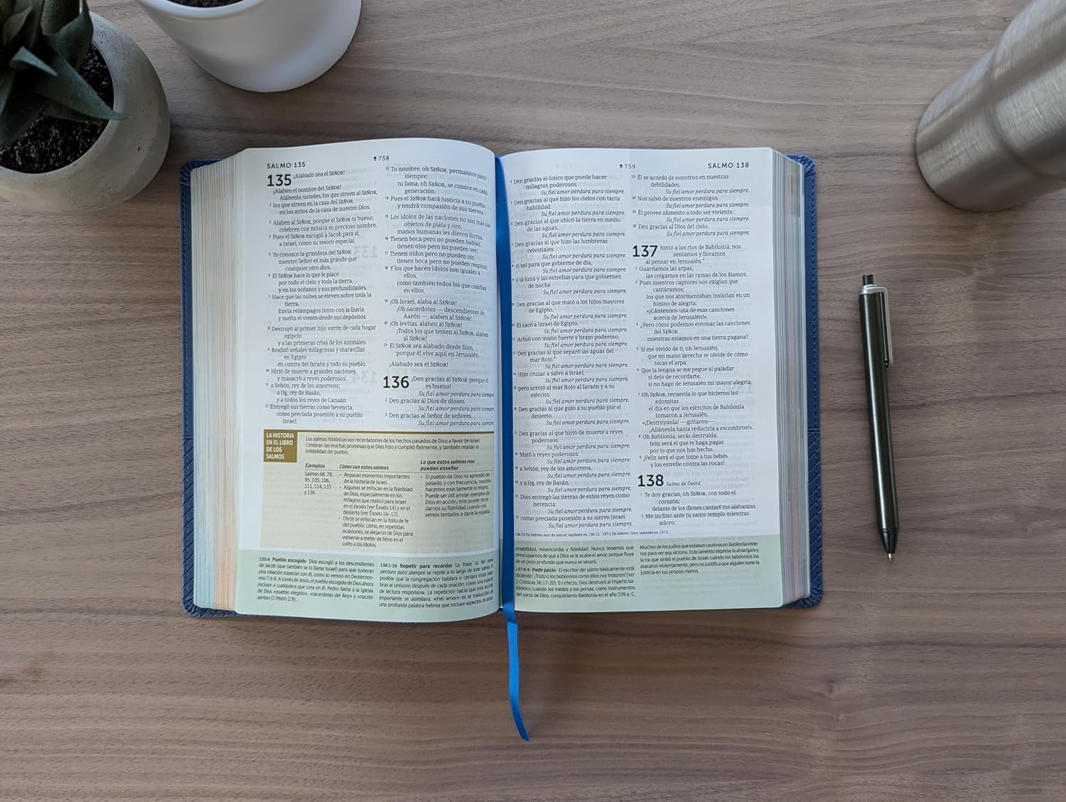 Biblia de estudio del diario vivir para jovenes NTV | SentiPiel Azul Oscuro