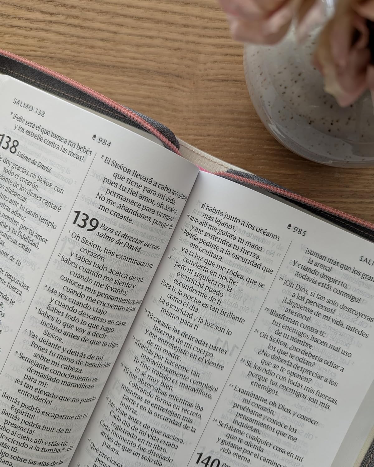 Biblia Compacta NTV, Letra Gigante de zíper con Filament   SentiPiel, Beige, Índ