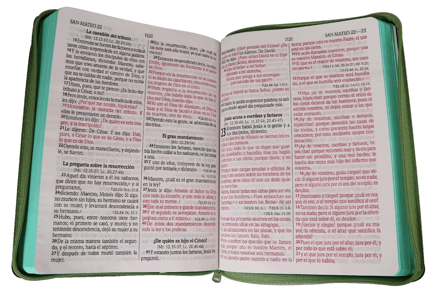 Biblia Jean RVR60, Letra Gigante 14 Puntos Con Cierre,Canto Verde