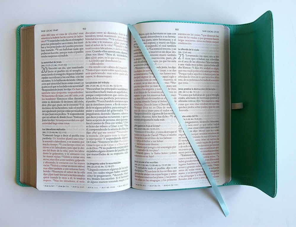 Biblia Letra Gde con solapa e imán RVR 1960, Símil Piel Aqua