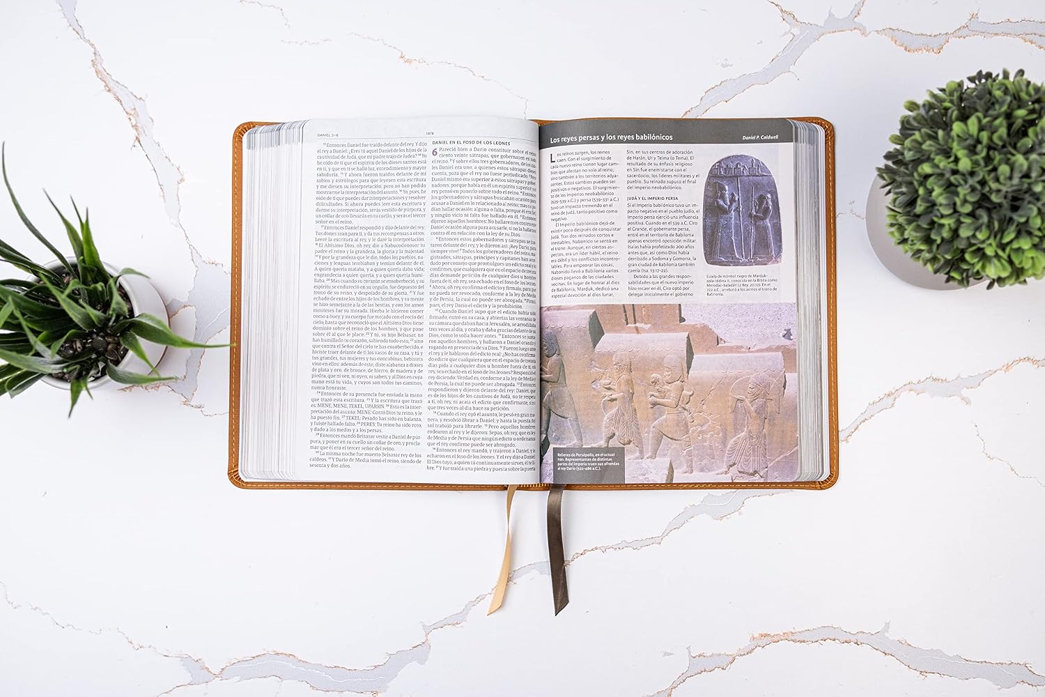 Biblia ilustrada de la Tierra Santa RVR60, simil piel