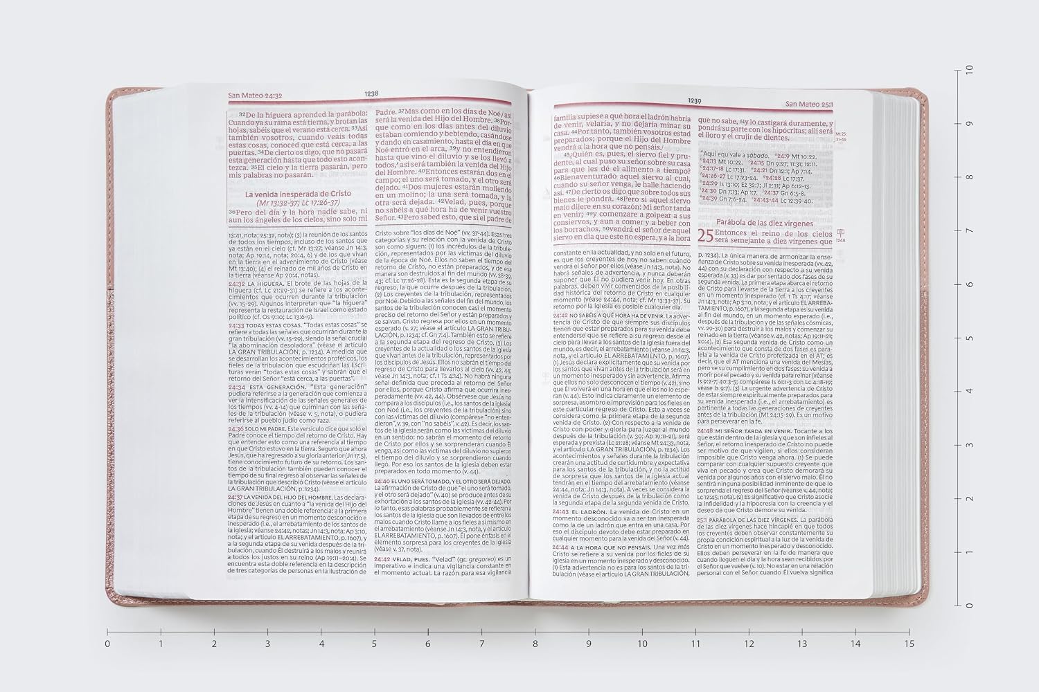 Biblia de estudio Vida Plena, Edicion clasica, Dos Tonos Oro Rosa, Comfort Print
