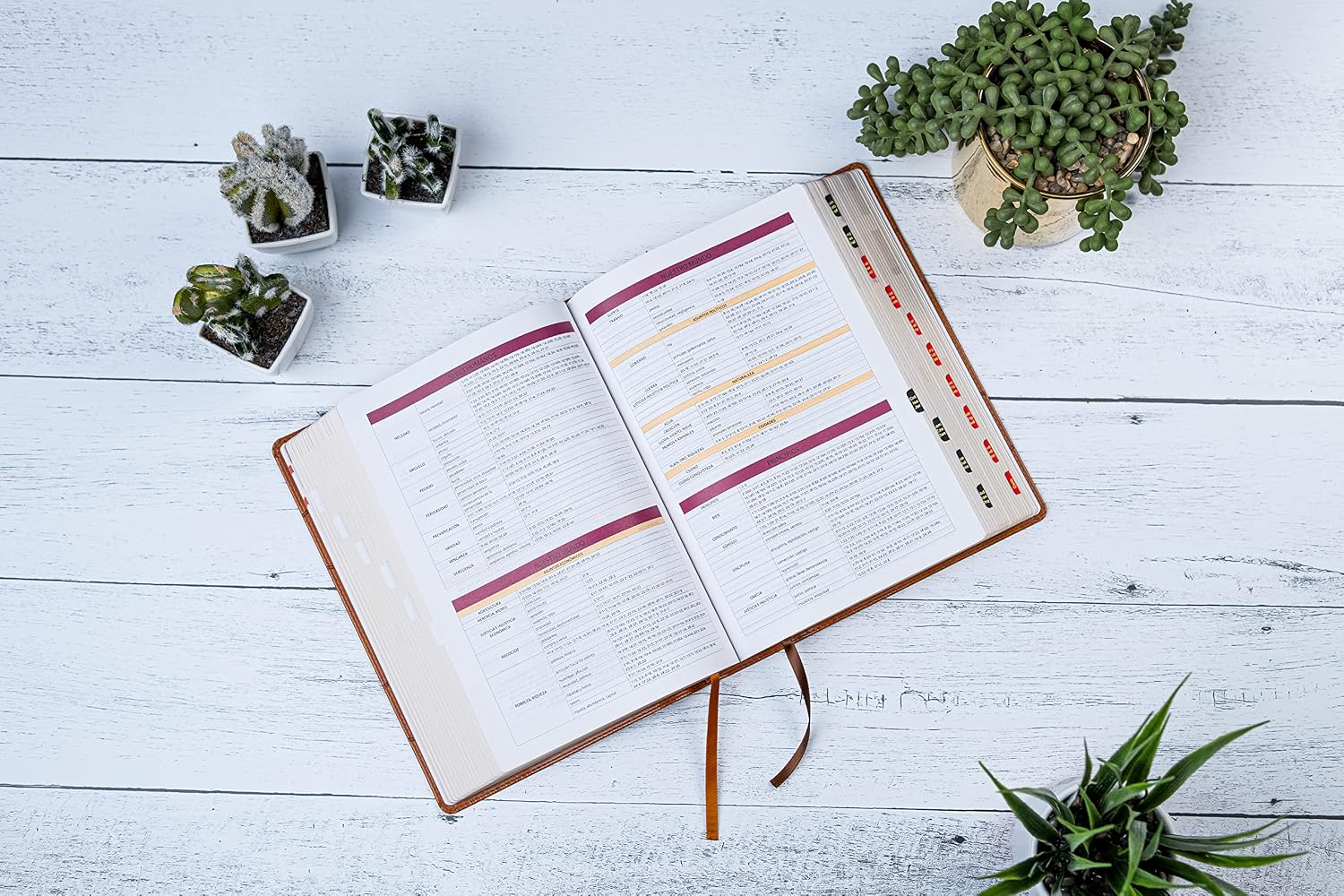 Biblia de estudio Holman RVR60, Simil Piel Cafe con indice