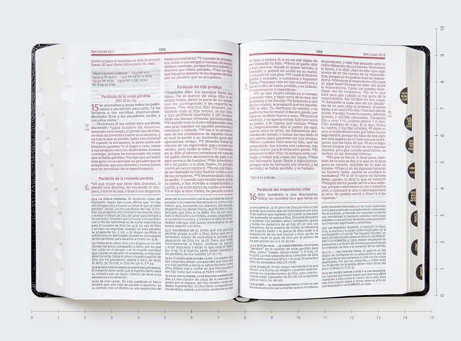Biblia de estudio Vida Plena, Edicion clasica, Piel Fabricada Negro con Indice,