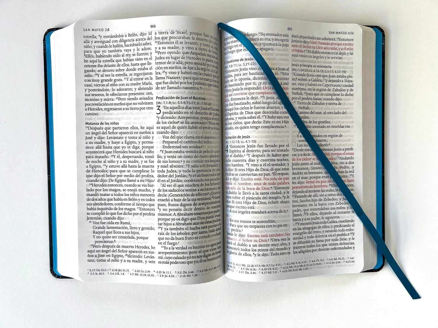 Biblia RVR 1960 letra grande, tamaño manual, Tapa Dura León Aguamarina