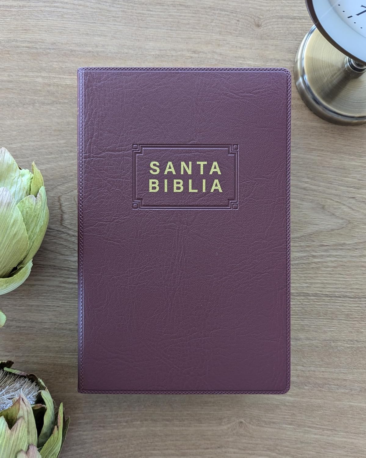 Biblia NTV, Edicion premio y regalo | Vinil  Vino Tinto