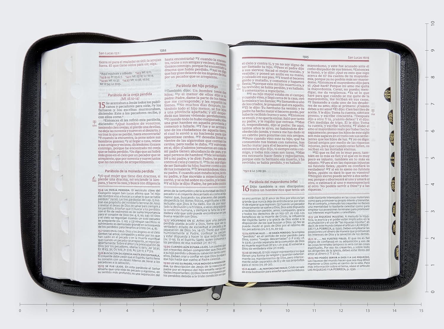 Biblia de estudio Vida Plena, RVR 1960, Edicion clasica, Piel Fabricada Negro co