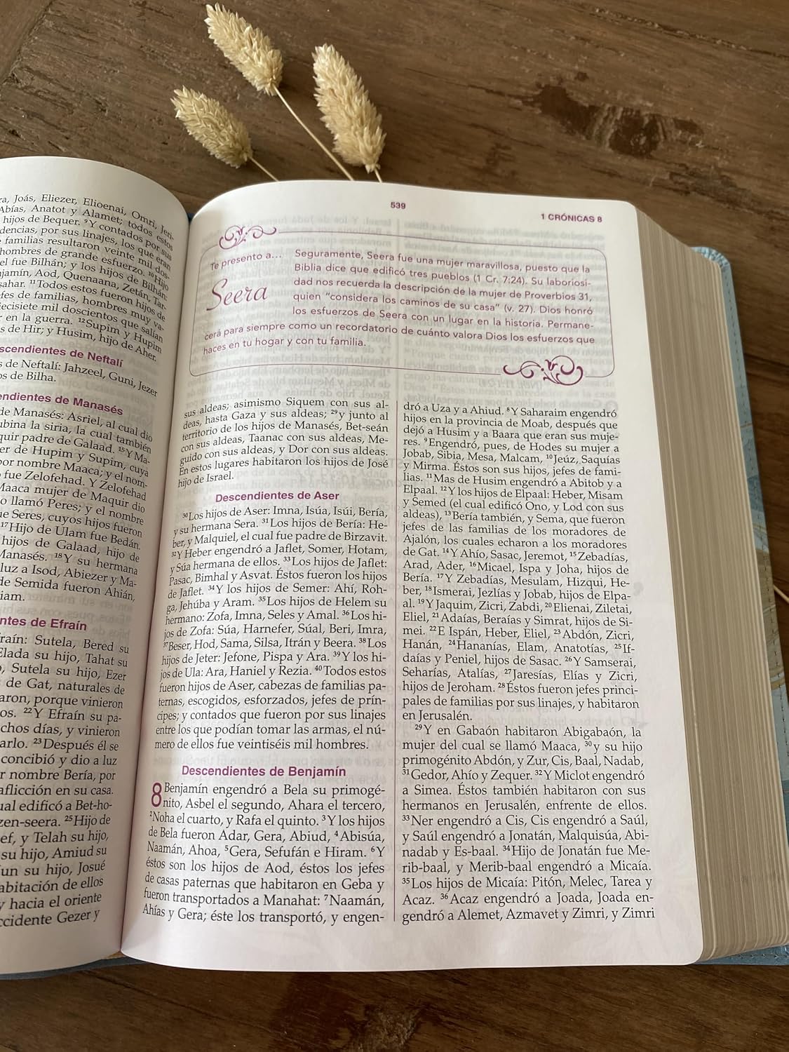 Biblia de la mujer conforme al corazón de Dios | Imitacion Piel Edicion Petalos