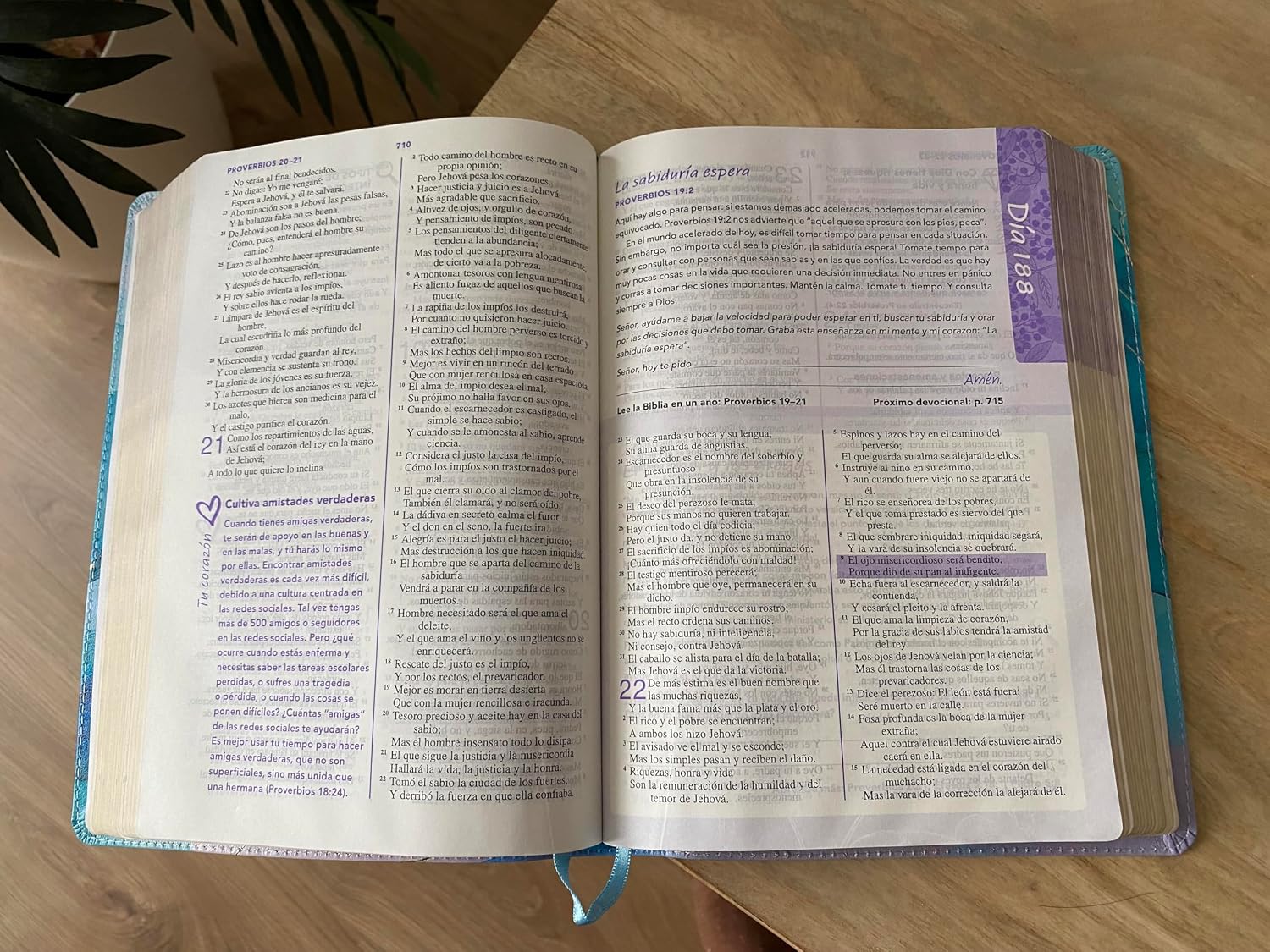 Biblia de una joven conforme al corazon de Dios RVR60 - Edicion Brisa