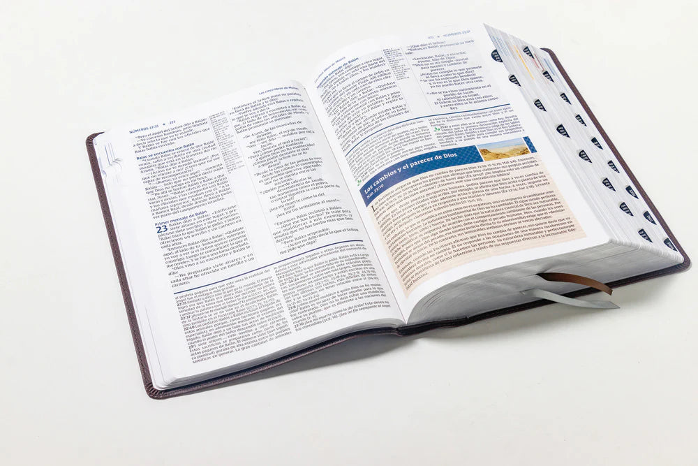 Biblia de Estudio actualizada, NVI Revisión 2022, Letra grande,  Imitacion Piel Cafe