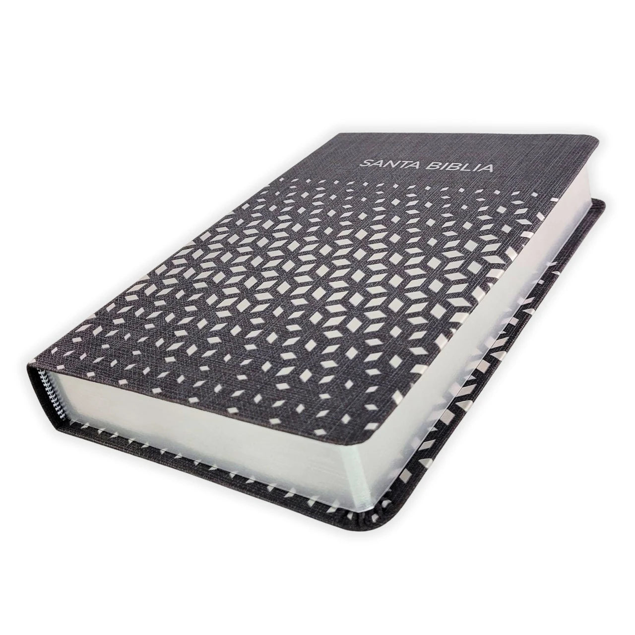 Biblia Para Regalos y Premios RVR 1960 | Simil Piel Negro-Plata