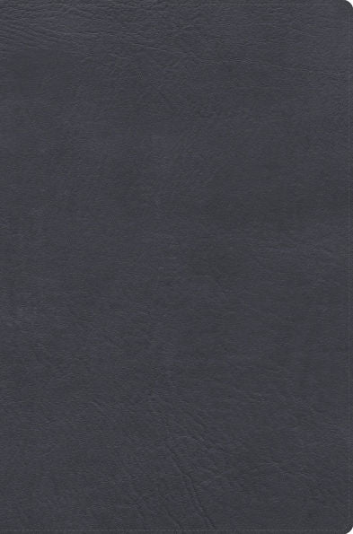 Biblia de estudio letra gigante RV1960, Simil Piel Gris con Indice