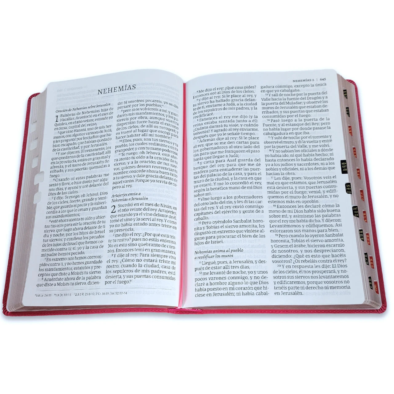 Biblia Letra Supergigante, RVR 1960 | Simil Piel Floral con Indice